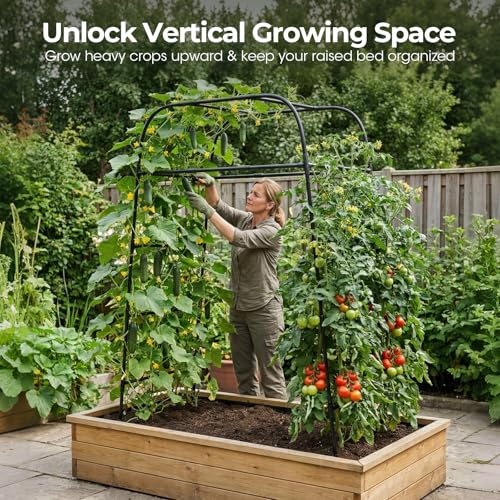 Garden Arch Trellis for Climbing Plants, 83" High Metal Cucumber Trellis & Tomato Cage, Rustproof Steel Tunnel Support for Squash, Pumpkin, Vegetables with Screw Fixation (32.3" L x 39.4" W) - style: 83" High x 32" Long (2-Arch)