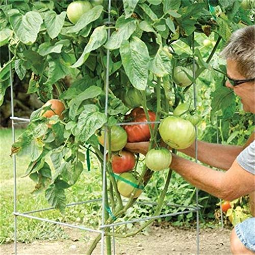 46" Height 12" Width 2PCS Galvanized Square Folding Tomato Cage,Plant Support Stake Tower - size: 12*46inch Sq-Galvanized-2Pack
