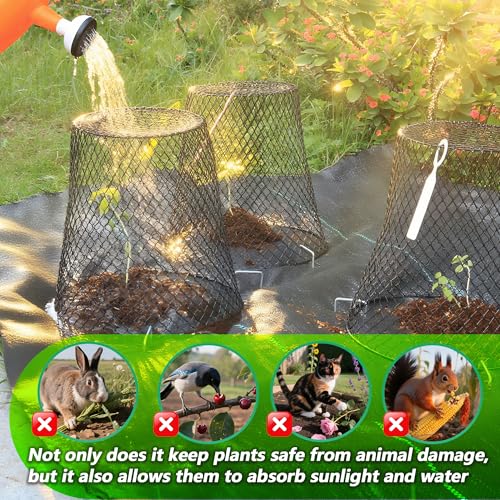 10 Pack 9.2 x 9.2 Inch Chicken Wire Cloche Plant Protectors from Animals - size: 10PCS-9.2"x9.2"