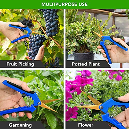 iPower 6.5 Inch Garden Pruning Shears with Titanium Coated Curved Precision Blades, Blue, 1-Pack - color: Blue, size: 1-pack