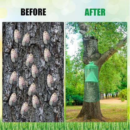 Qualirey 8 Pack Spotted Lanternfly Trap Lanternfly Killer for Tree,Green - color: Green