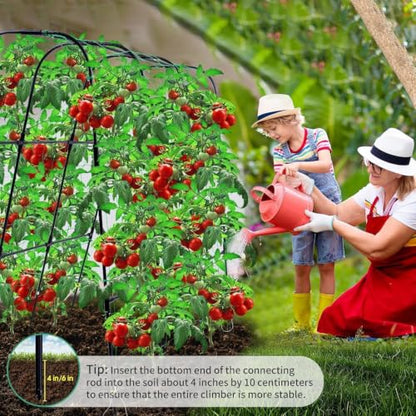50"x48"Cucumber Trellis, Garden Arch Trellis for Climbing Plants Outdoor - color: Black