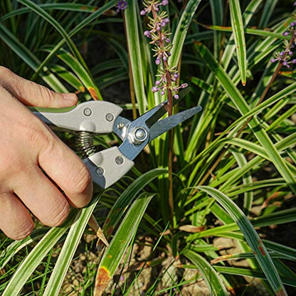 Garden Scissors Hand Pruner Pruning Arranging Flowers, Trimming Plants and Harvesting Herbs, Fruits or Vegetables 7 Inch 6146-13903-01A