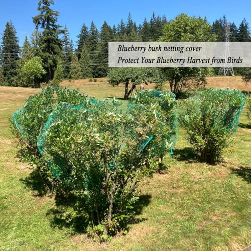 Bird Netting for Garden 6.5 x 100 FT, 1/4 Inch Mesh - size: 6.5×100FT,1/4 In Mesh