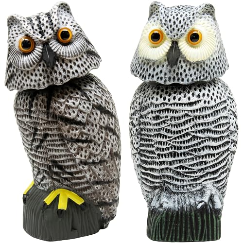 Owl Decoy to Scare Birds Away Scarecrow Fake Owl with Rotating Head (2 Pk) - color: Set C