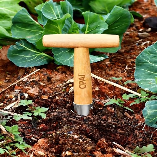 Seed Dibber Hand Dibber Bulb Planter Tool, Stainless Steel Garden Dibber with Wooden Handle for Planting Seeds, Bulbs, Tulips, Daffodils and Flowers (11.0x4.5in) - size: 11.0x4.5in