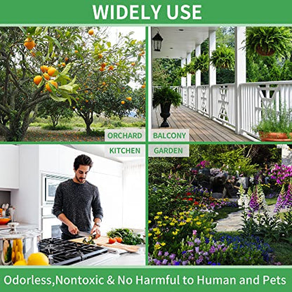 LULUCATCH Fruit Fly Sticky Traps 12 Pcs, Yellow Sticky Trap, Non-Toxic Gnat Traps Insect Catcher, Super Sticky Fly Traps for Indoor Outdoor Kitchen White Flies Mosquitos Fungus Gnats Flying Insects - size: 12 Pack