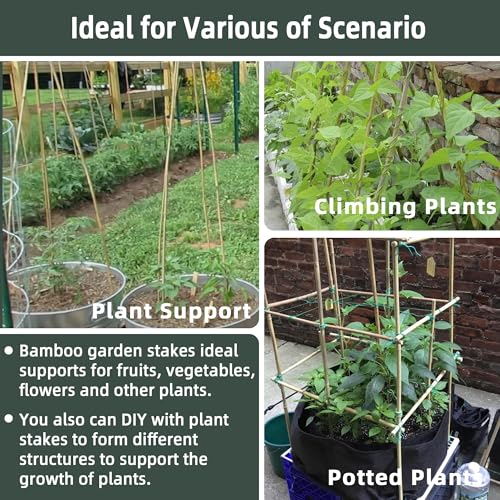 50Pcs / 3ft Bamboo Plant Stakes for Indoor Outdoor Plants, Garden Plant Support Sticks, Poles for Tomato Vegetables Beans Trees Potted Climbing Plants(0.32''-0.4'') - size: 3 FT 50PCS