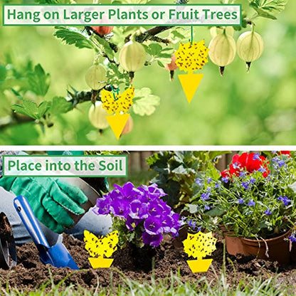 LULUCATCH Fruit Fly Sticky Trap 24 Pack, Yellow Sticky Trap Safe Gnat Traps, Super Sticky Fly Trap for Indoor, Outdoor, Kitchen, Insect Catcher for White Flies, Mosquitos, Fungus Gnats, Flying Insects - size: 24 Pack