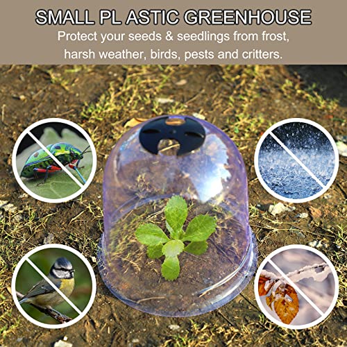 MorTime 6 Pack Garden Cloche Plant Dome, 7.3" D x 6.9" H Plastic Plant Bell Cover Reusable Mini Greenhouse with 18 Ground Securing Pegs & 10 Plant Labels for Outdoors Frost Freeze Protection