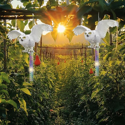 2PCS Fake Owl to Keep Pigeon Away from Balcony Flat Paper Garden Owl to Scare Woodpecker Away from House Hanging Plastic Owls with Reflective Tape Pigeons Scare Devices for Outdoor Porch Patio Roof - color: White 2pcs