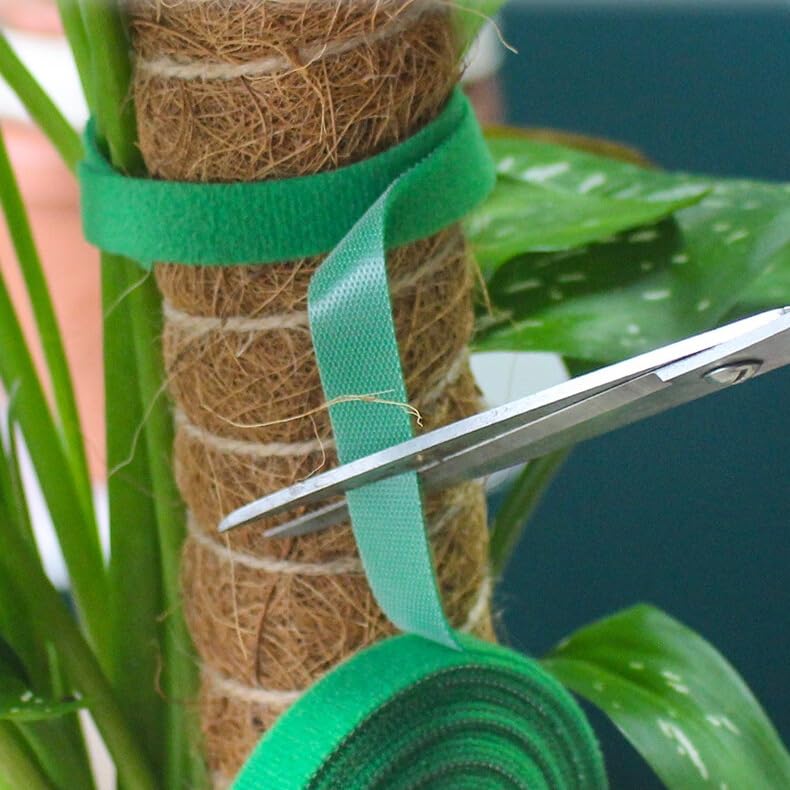 Green Garden Tape Plant Ties, 12mm x 1m Roll of Reusable Hook and Loop Straps for Supporting Climbing Plants, Tomatoes, Vines, Adjustable and Non-Slip