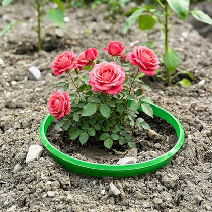 EBaokuup 6 Pcs 7 Inch Planting Grow Rings-Planting Protective Round Edging to Separate Rock and Pest-Planting Rings for Vegetables, Herbs and Flowers - color: 7 Inch