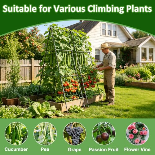 unho Metal Tall Garden Trellis for Climbing Plants Outdoor 2 Pack 82"x27" - size: 82x27inch（2pack）