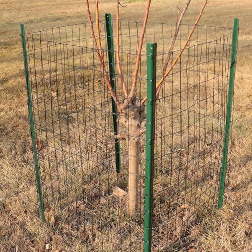Black PVC Coated Welded Wire Fence 24" x 100' Roll, 2"x3" Mesh, 16 Gauge - color: Black, size: 2''x3'' 16GA 24''x100'