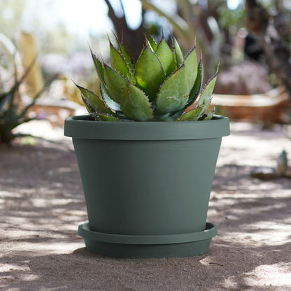 Bloem Terra Plastic Saucer Tray for 12" Terra Planters, UV-Resistant, Basil - color: Basil, size: 12"