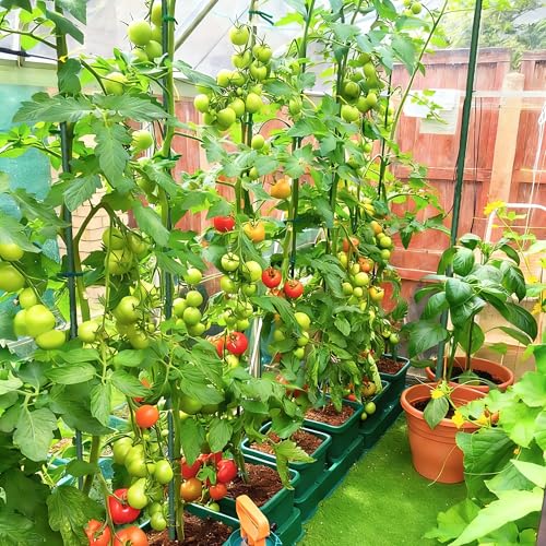 FORUP Garden Stakes, 25 Pack Steel Plant Stakes with Plastic Coating for Climbing Plants, Tomato Eggplant Bean Support, Rust-Resistant Outdoor Garden Stakes (48 Inch)