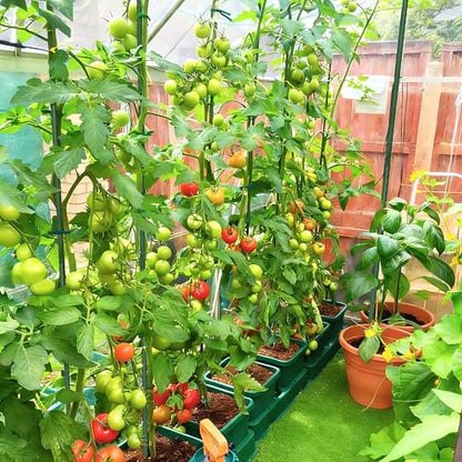 FORUP Garden Stakes, 25 Pack Steel Plant Stakes with Plastic Coating for Climbing Plants, Tomato Eggplant Bean Support, Rust-Resistant Outdoor Garden Stakes (48 Inch)