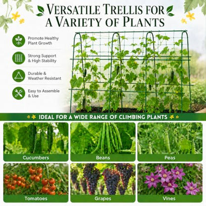 FOLLOOK Cucumber Trellis for Raised Garden Bed,63x48inch, Green - color: Green, size: 63x48inch
