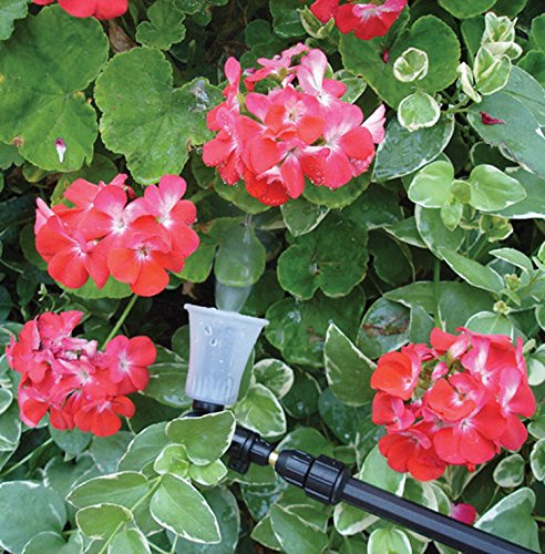 SOLO 420 2-Liter One-Hand Pressure Sprayer with Adjustable Telescoping Wand - size: 2 L