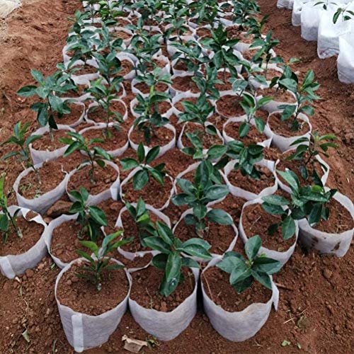 Belit Large Non-Woven Plant Nursery Bags, 25 Pcs Grow Bags Seedling Pots Container for Tree,Vegetable, Flower, Plant Grow (13.2"x15") - size: 25 Pcs 13.2"x15"