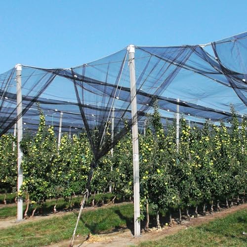 39 x 10 Ft Mosquito Netting, Garden Insect Bird Netting for Patio, Black - color: Black
