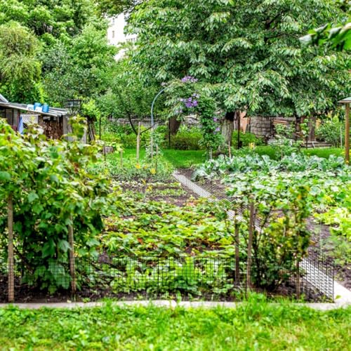 30 Pcs Plant Protectors from Animals,Protect Plants from Deer 10 Sets Metal Plant Cages Animal Intrusion Barrier Wire Mesh Easy to Assemble/Store Vegetable Garden Protection 12×24in