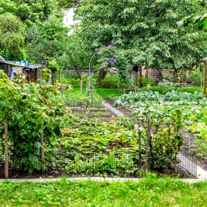 30 Pcs Plant Protectors from Animals,Protect Plants from Deer 10 Sets Metal Plant Cages Animal Intrusion Barrier Wire Mesh Easy to Assemble/Store Vegetable Garden Protection 12×24in