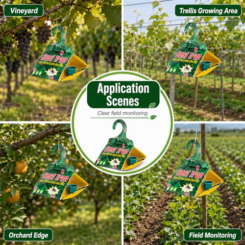 6 Pack Codling Moth Traps for Grapevines with Pheromone Lures – Triangular Hanging Sticky for Grapevines, Includes 6 Traps & 6 Lures, for Orchard & Garden Use