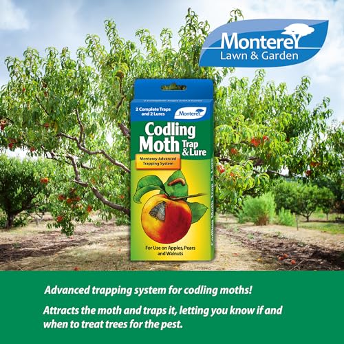 Monterey Codling Moth Trap & Lure - 2 Traps/2 Lures