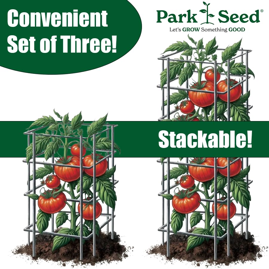 Park Seed Tomato Cages – 39" Tall Heavy-Duty Plant Supports for Tomatoes, Peppers, Cucumbers, and Climbing Vegetables, Foldable Metal Garden Trellis, Pack of 3 - size: 39" (3 Pack)