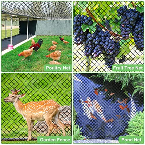 Bird Netting 25'x50'with 3/4" Square Mesh, Heavy Duty Nylon Garden Netting - size: 3/4", 25' x 50'
