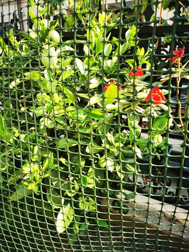 PotatoLife Green Plastic Garden Fence, Hardware Mesh, 40'' x 25' - color: Green, size: 40'' x 25'