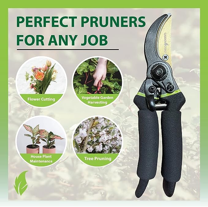 Garden Guru Soft Grip Garden Pruning Shears Scissors Clippers - Hardened Titanium Blades - Comfort Grips – Heavy Duty Bypass Hand Pruners Branch Cutters - for Gardening Trimming Bushes Flowers Plants - size: 1 Pack, style: Soft Grip Titanium Bypass