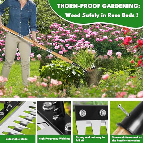 Iron Weeding Rake with Long Handle, 8-Tine Heavy Duty Garden Tool for Lawn - color: Black