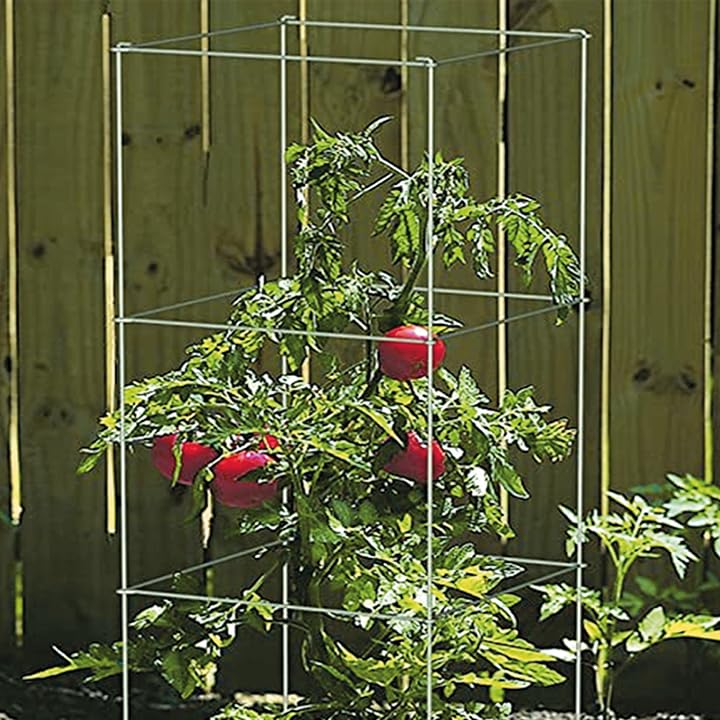 Ferry-Morse 4-Piece Multi-Use Tomato Cage & Trellis Garden Plant Support