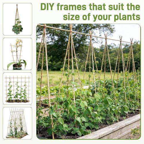 50Pcs Garden Stakes, 0.32”/16 Inch Bamboo Sticks，Natural Plant Stakes for Indoor and Outdoor Plants，Poles for Tomatoes, Beans, Potted Plants - size: 16In,Pack of 50