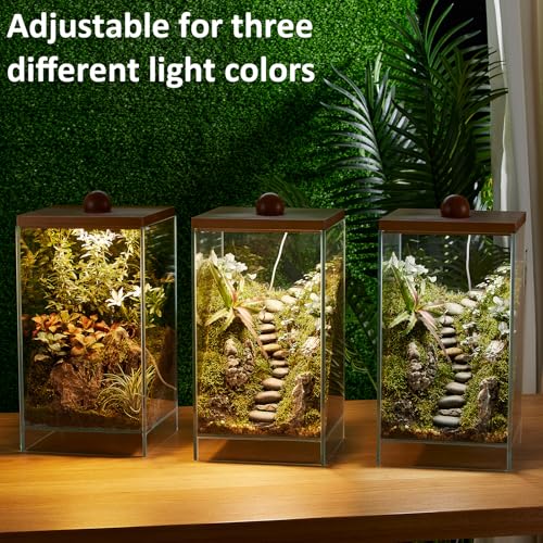 Large Glass Plant Terrarium: 13.7H+7.8W Terrarium with Light - size: H-13.7IN
