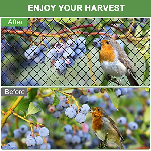 Heavy Duty Bird Netting 3/4" Mesh, 25x100ft Poultry Net for Chicken Coop - size: 3/4", 25' x 100'