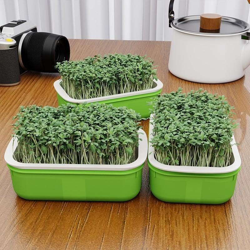 Plastic Double-Layer Plant Growing Nursery Pots Vegetable Flower Seedlings Tray Soilless Germination Plate Garden Tools,16.5 * 10.5 * 5.5cm(3 pcs) - color: 3 Pcs