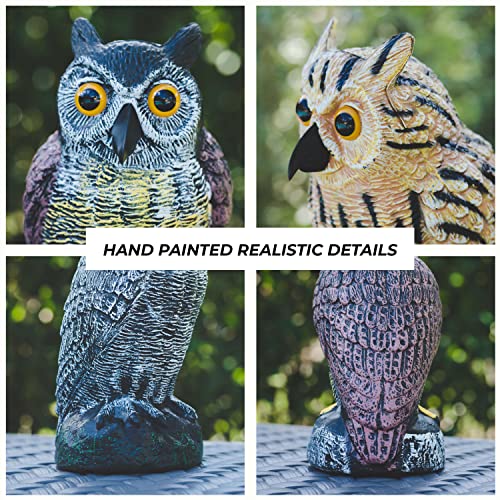 Owl Decoys to Scare Birds Away Plastic Owls Statue for Garden & Outdoors, 3 - style: Cottage