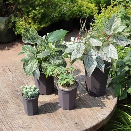 17 PCS 3.55" Plastic Deep Nursery and Seedling Pots, Round Transplant Seed Starter Planter,Gray Color - color: Gray, size: 3.55 inch