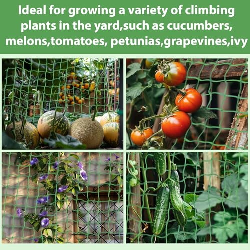 MAQIHAN Trellis Netting for Climbing Plants - Heavy Duty Garden Net, 2 PCS