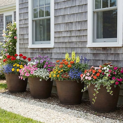 Sunnydaze Anjelica 20'' Large Plastic Planter Pot for Plants, Sable - color: Sable, size: 20 in