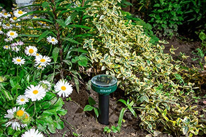 Gopher Repellent Ultrasonic Solar Powered - Mole Repellent Stakes Outdoor Pet Safe - Groundhog Repeller Snake Rodent Gopher Spikes Chaser - Sonic Mole Deterrent Devices (4)