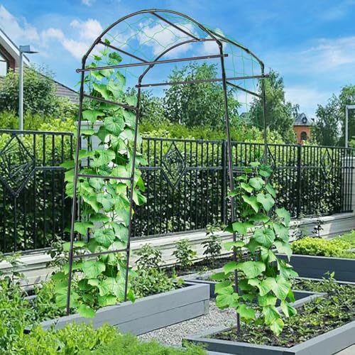 FOLLOOK Garden Arch Trellis for Climbing Plants Outdoor, 6.7ft, Black - size: 31.5" x 31.5" x 78.7"