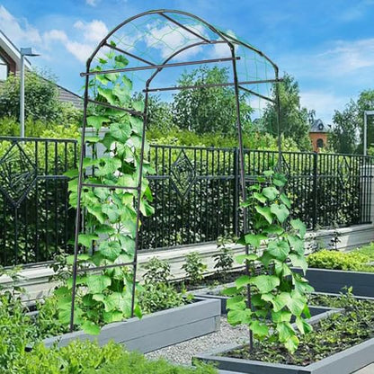 FOLLOOK Garden Arch Trellis for Climbing Plants Outdoor, 6.7ft, Black - size: 31.5" x 31.5" x 78.7"