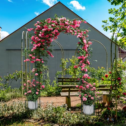 Heavy Duty Garden Arch Trellis for Climbing Plants Metal Garden Arbors