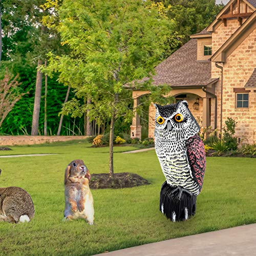 Plastic Owl Statue Decoys for Bird Control - Owl Scarecrow with Rotating Head for Garden, Yard and Outdoor Use | Scare Birds