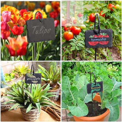 Slate Plant Labels Garden Markers Signs Labels with Stainless Steel Stake & Marker Pen Waterproof Slate Plant Labels for Flowers, Herbs, Potted Plants, Seed (Oval, 5PCS) - size: 5PCS, style: Oval
